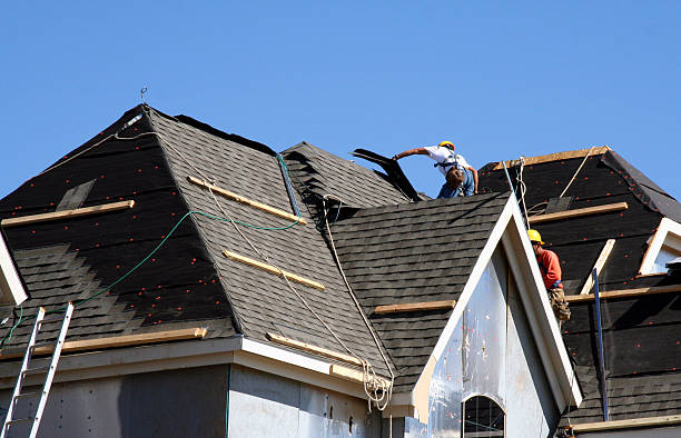 Best Roof Gutter Cleaning  in Landmk, AR