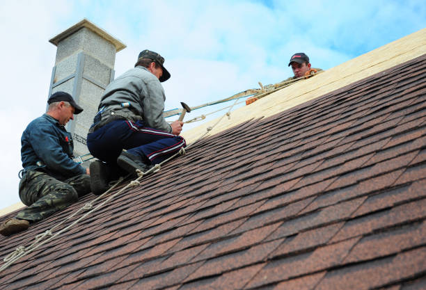 Roof Gutter Cleaning in Landmark, AR